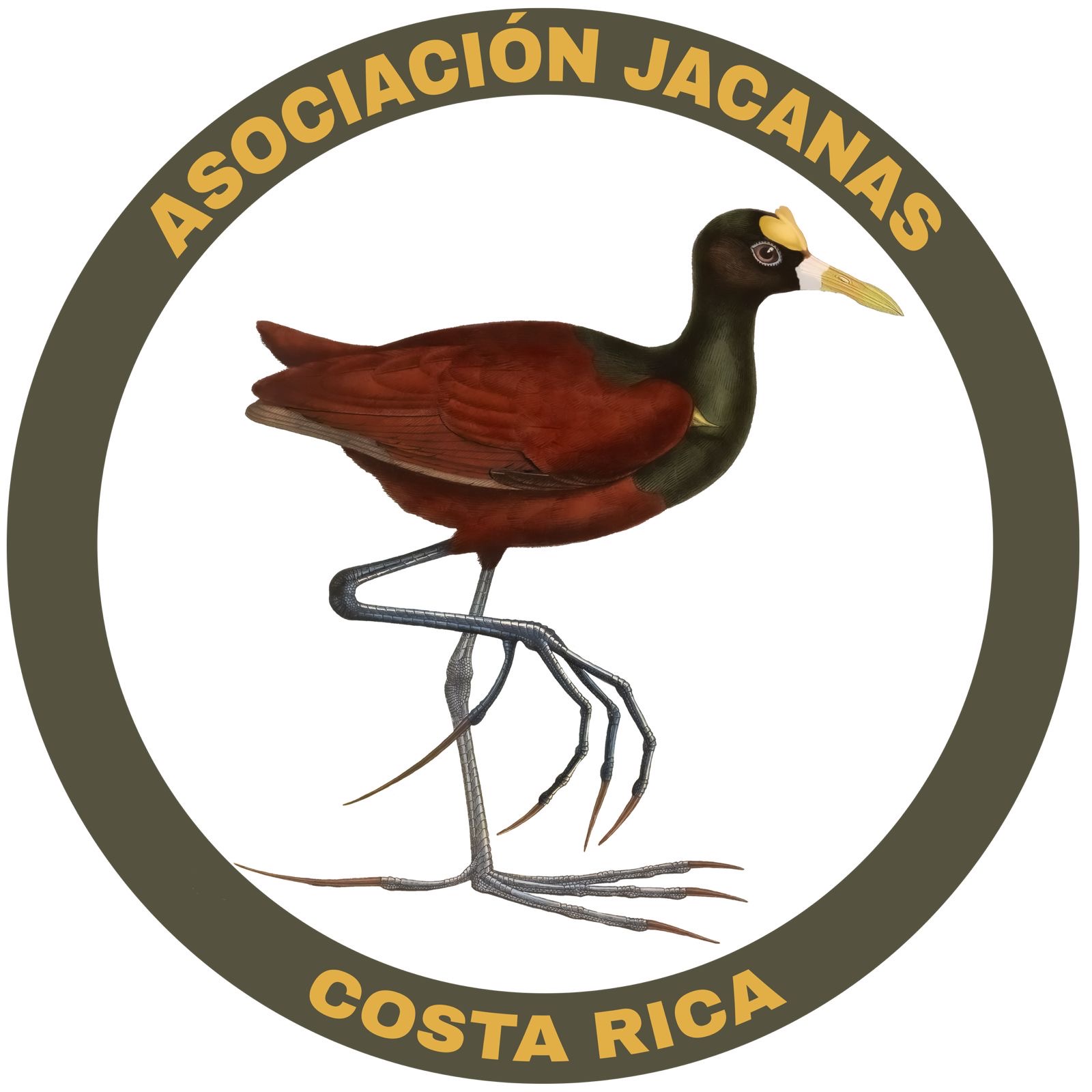 Asociación Jacanas Costa Rica Logo